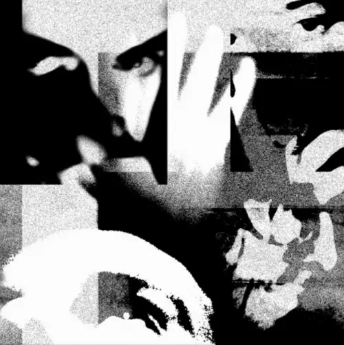 Loathe (UK) : Dimorphous Display